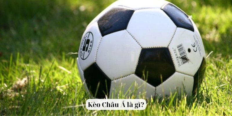 Kèo Châu Á là gì?
