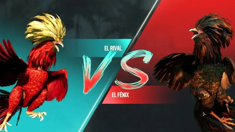 Luật tham gia và quy định cần nắm