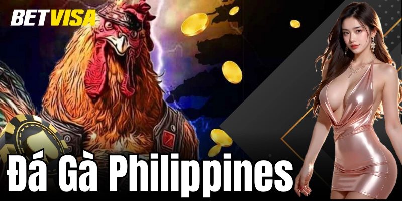 Phân tích chiến thuật và mẹo cá cược đá gà Philippines