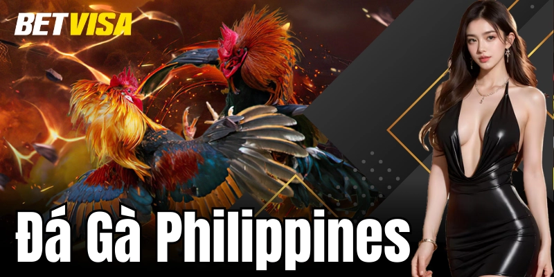 Tổng quan về hình thức cá cược đá gà Philippines