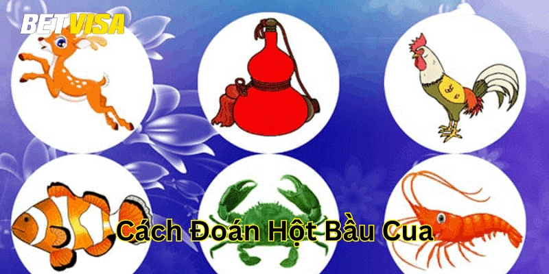 Cách Đoán Hột Bầu Cua là gì? 