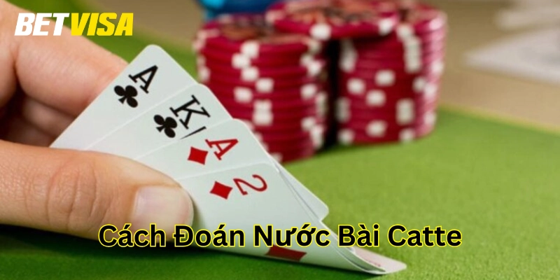 Cách Đoán Nước Bài Catte – Bí Quyết Nhìn Thấu Bài Đối Thủ