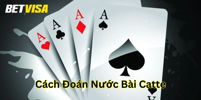 Cách Đoán Nước Bài Catte là gì? 