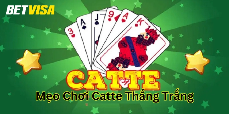 Mẹo Chơi Catte Thắng Trắng – Bật Mí Tips Hay Từ Cao Thủ