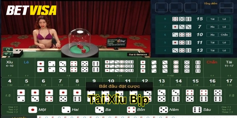 Tài Xỉu Bịp: Đừng Tin Vào Xác Suất – Hãy Hiểu Chiến Thuật