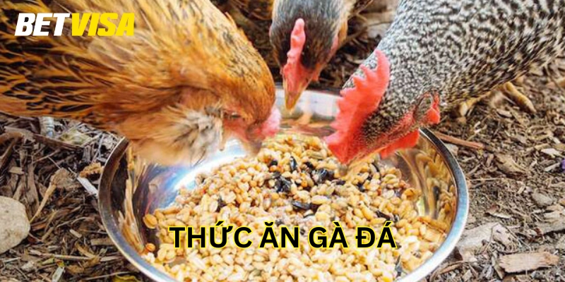 Thức Ăn Gà Đá có quan trọng với sự phát triển của chúng?