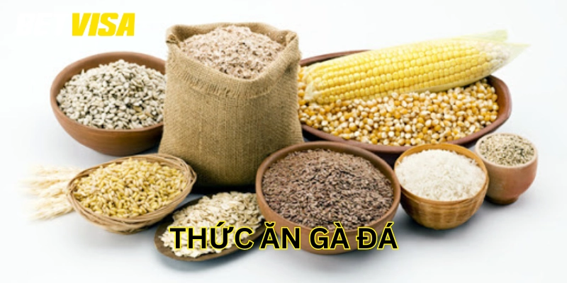 Thức Ăn Gà Đá là gì? 