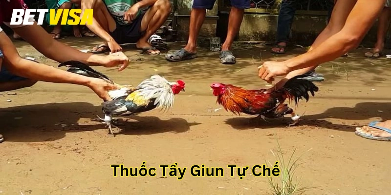Thuốc Tẩy Giun Tự Chế là gì? 